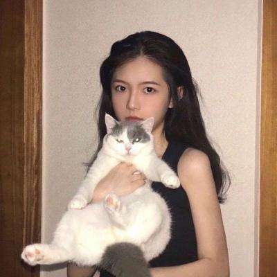 天使纪元魅族端口下载